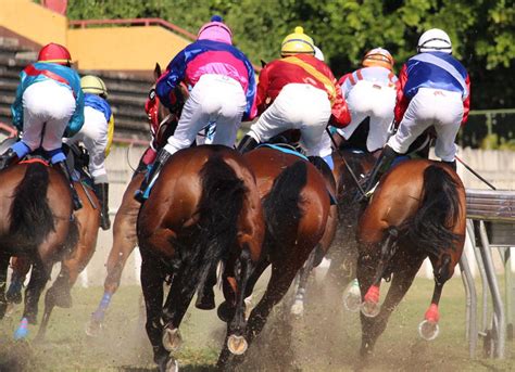 Bet on Mauritius Horse Racing Online